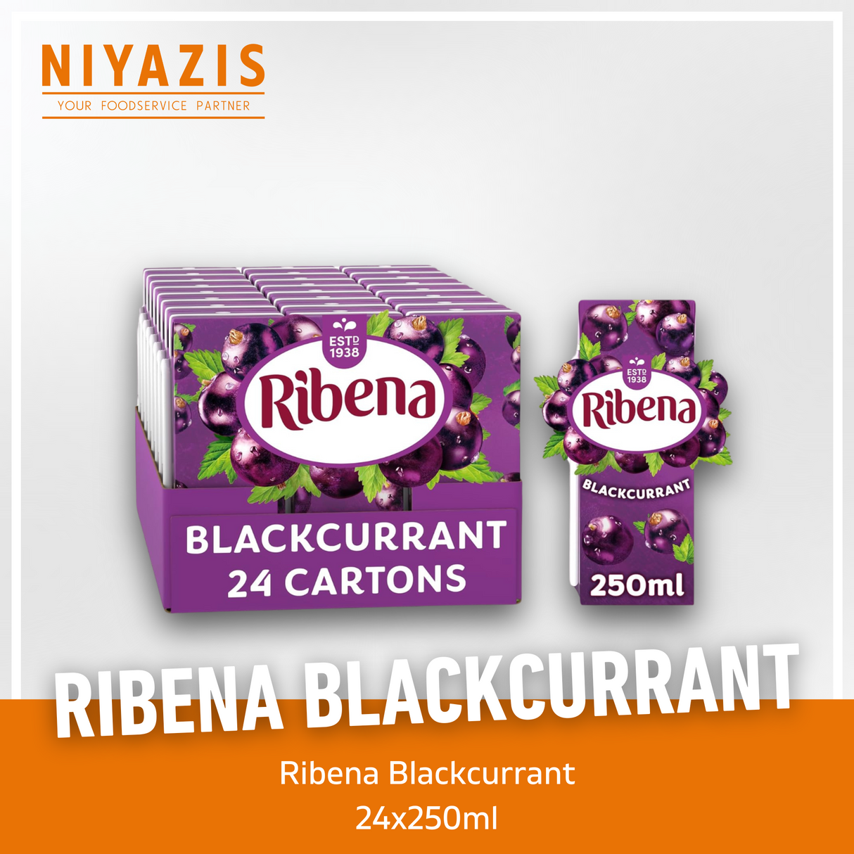 Ribena Blackcurrant-(TET)-24X250ml