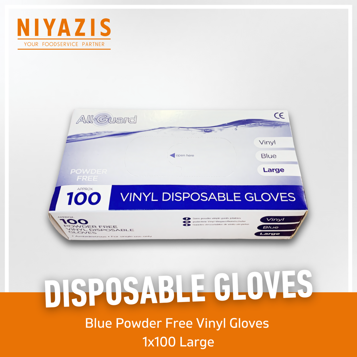 BLUE GLOVES (POWDER FREE) LARGE 1X100